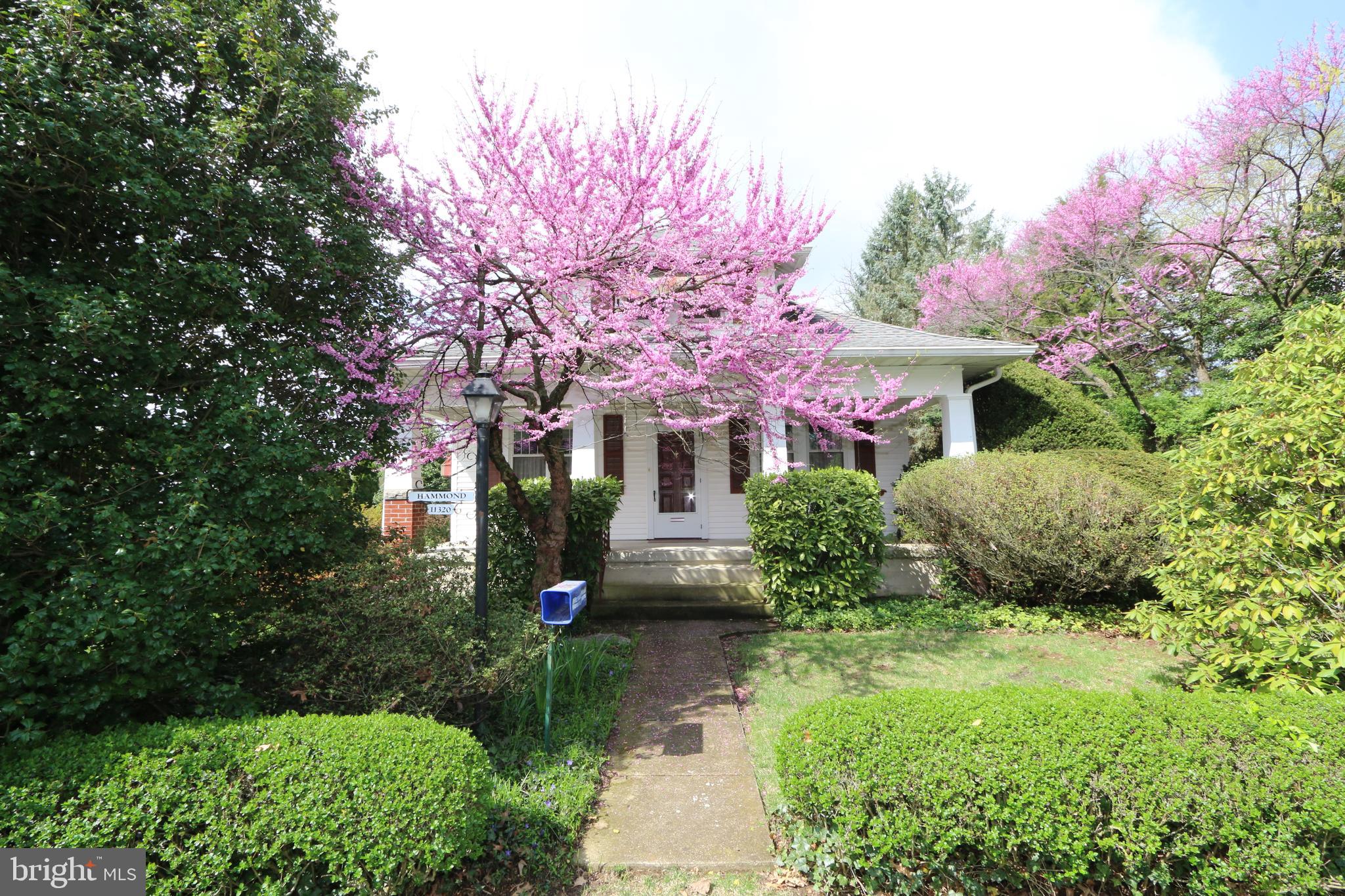 11320 Marbern Road Hagerstown, MD 21740 - Photo 22 of 22 Front View