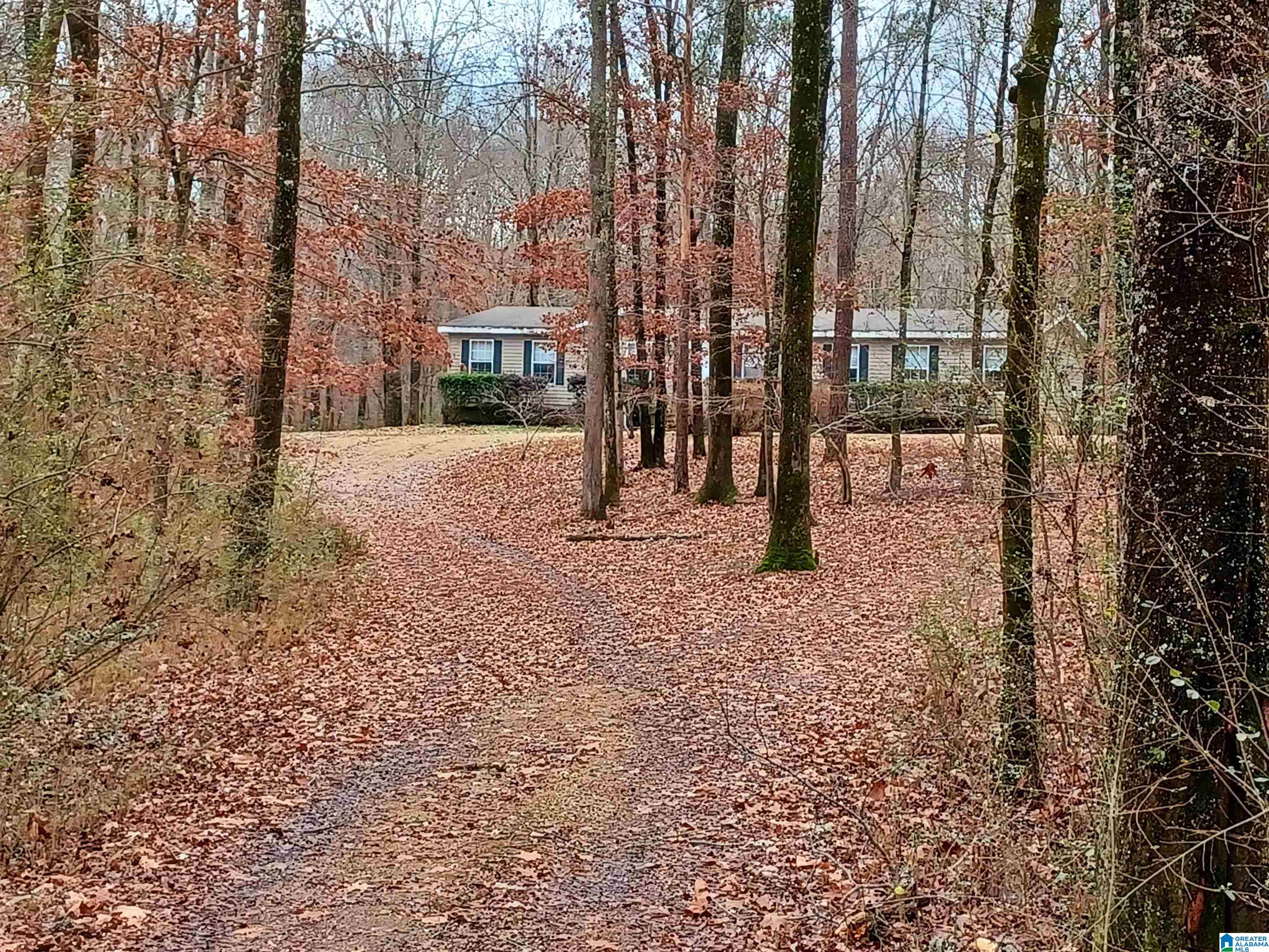 11642 Bear Creek Road Sterrett, AL 35147 - Photo 1 of 1