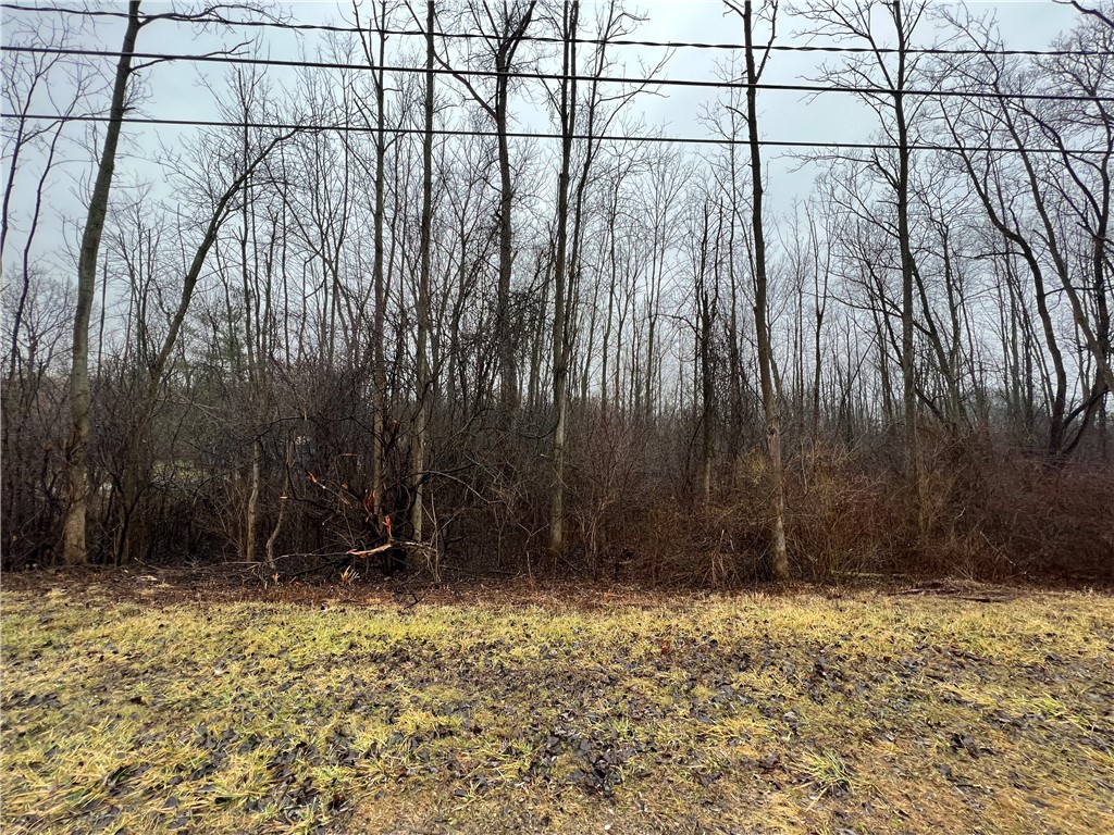 0 Filkins Road Arcadia, NY 14513 - Photo 1 of 1 Gallery Image 1