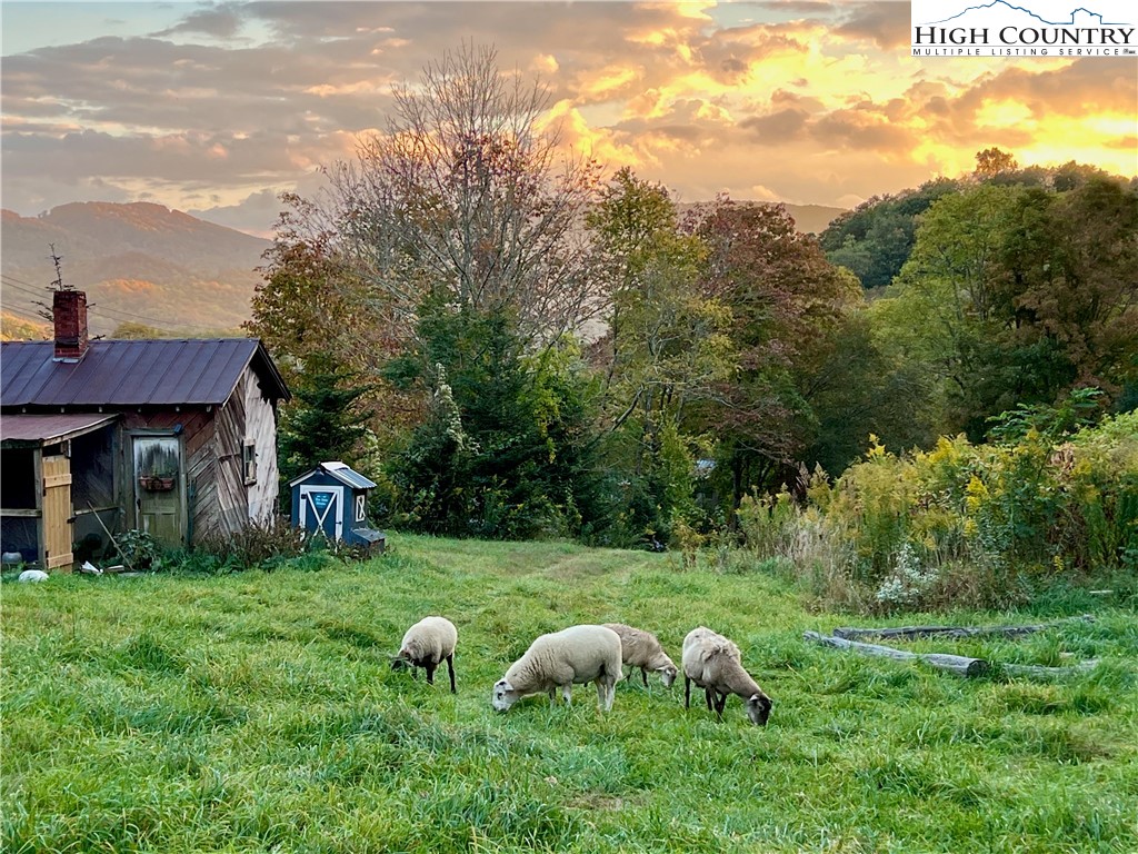 a view of a house with backyard and trees
