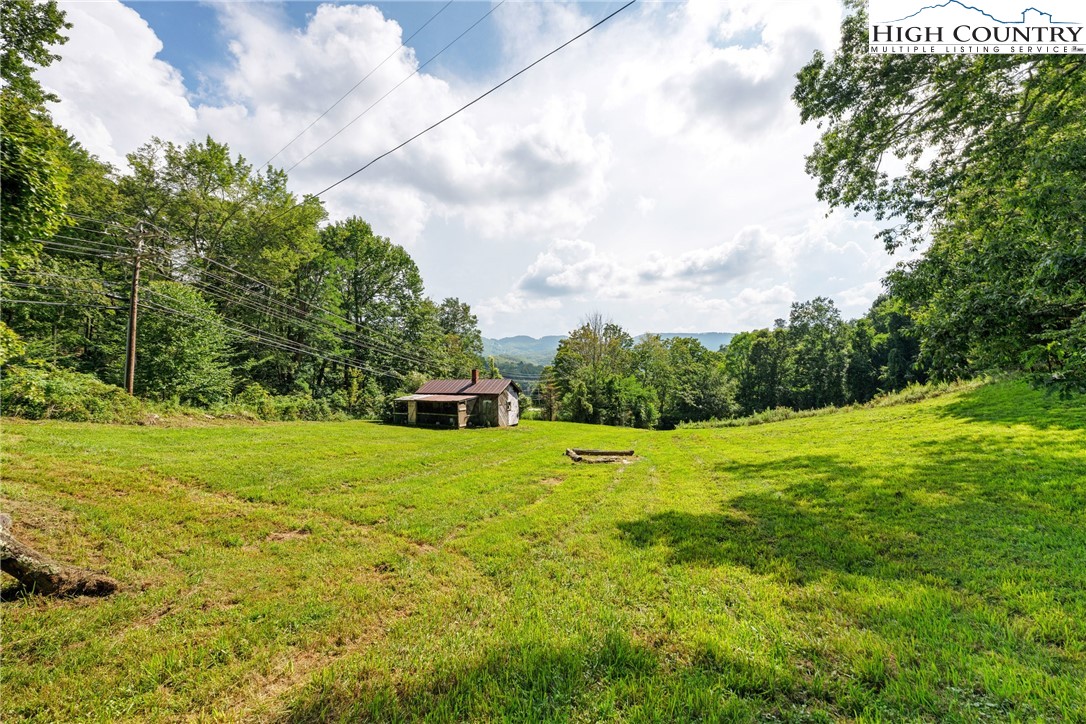 261 Tumbling Brook Road Banner Elk, NC 28604 - Photo 34 of 39 a view of a big yard with plants and large trees