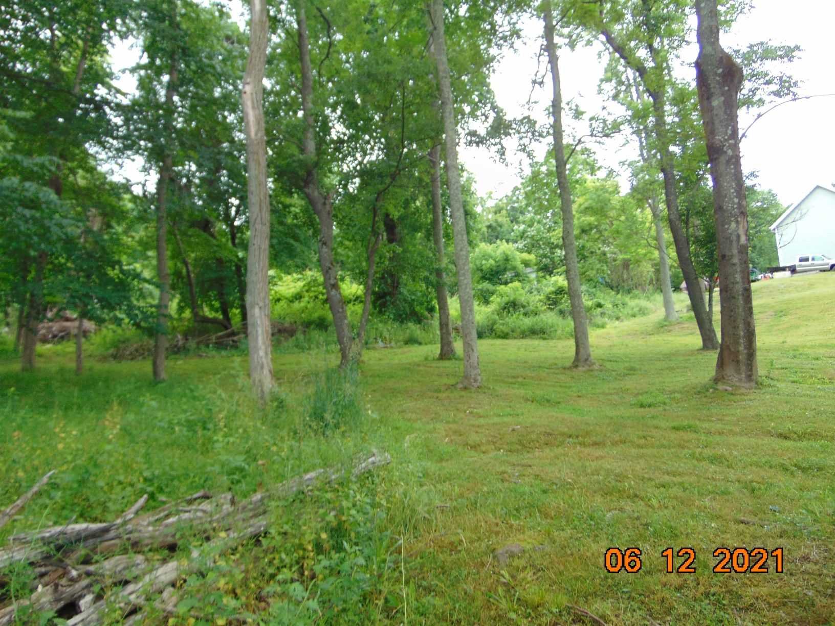a view of yard with trees