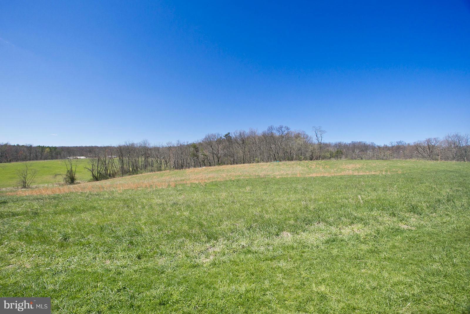 1236 Timber Ridge Road Berkeley Springs, WV 25411 - Photo 24 of 30 Exterior (Rear)