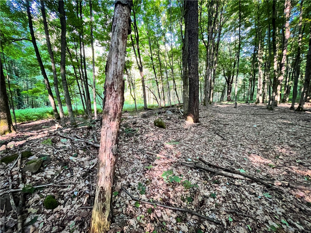 98 Hawk Road Volney, NY 13069 - Photo 25 of 49 Gallery Image 25