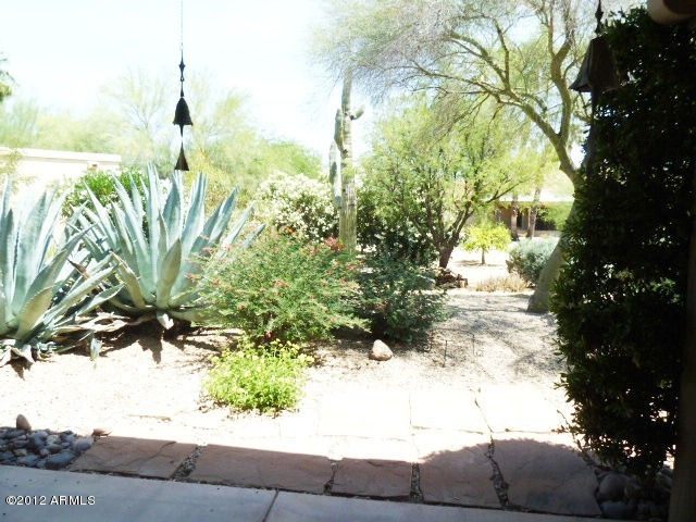 19041 East Alondra Way Rio Verde, AZ 85263 - Photo 23 of 29 Backyard desert landscape