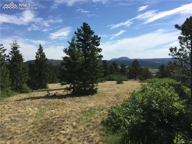Redstone Ridge Road Monument, CO 80132 - Photo 11 of 20