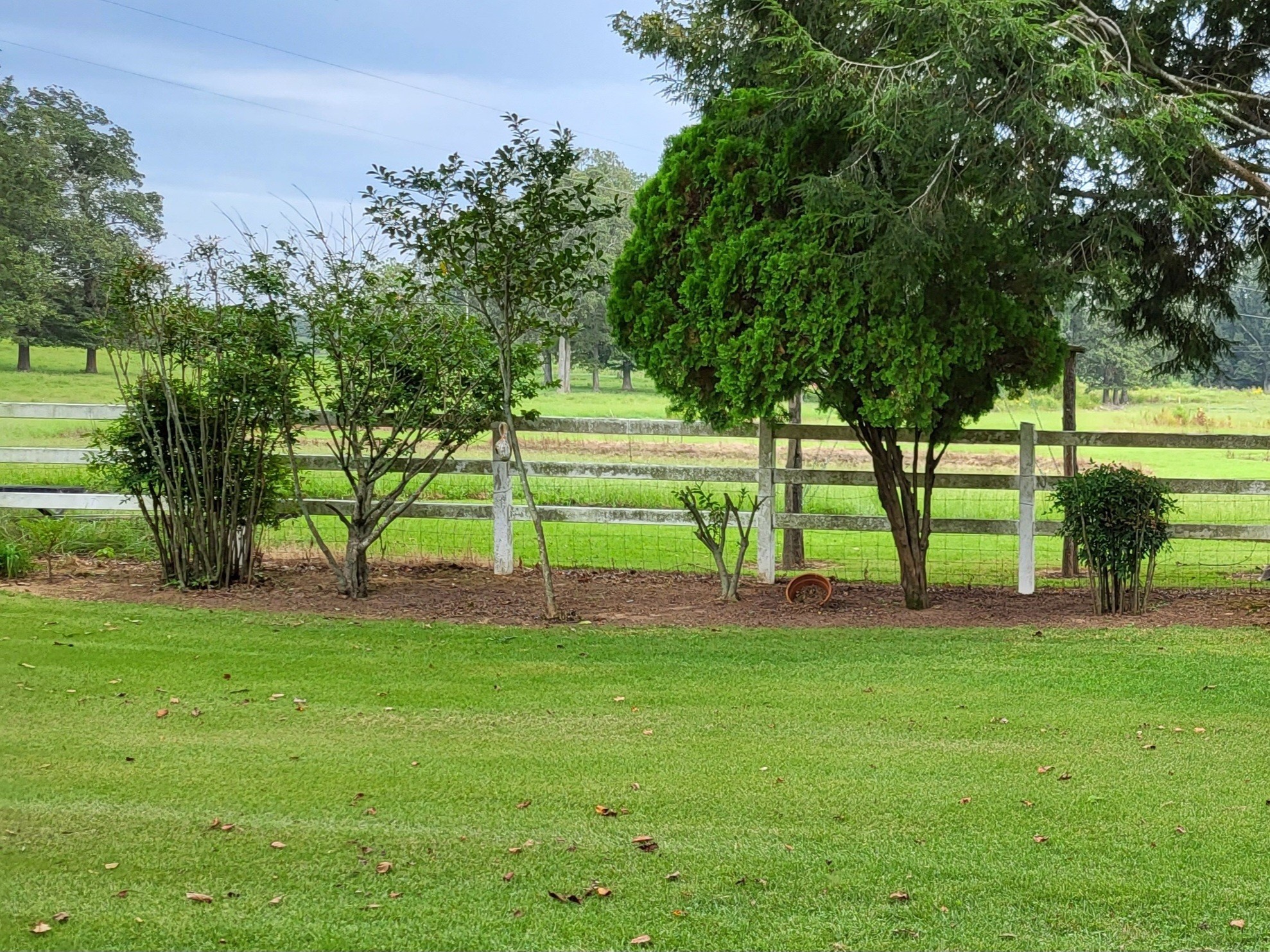 967 Mud Creek Road Morrison, TN 37357 - Photo 23 of 33 a view of a park with a tree
