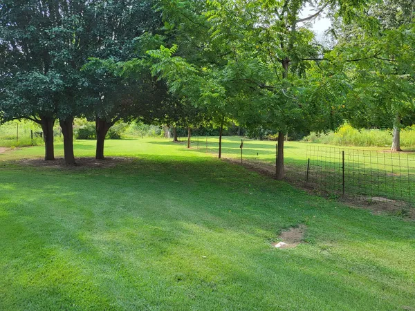 a view of a park with a tree