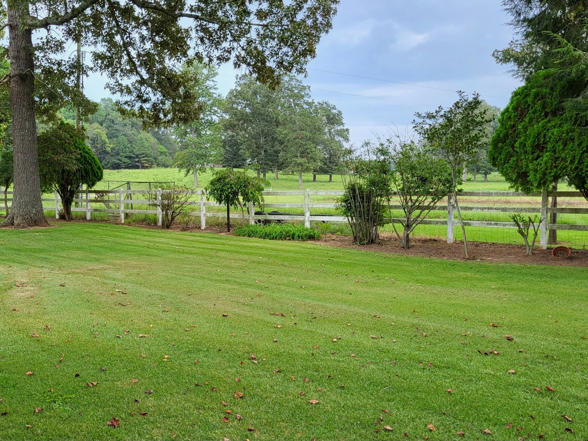 967 Mud Creek Road Morrison, TN 37357 - Photo 25 of 33 a view of a park with large trees