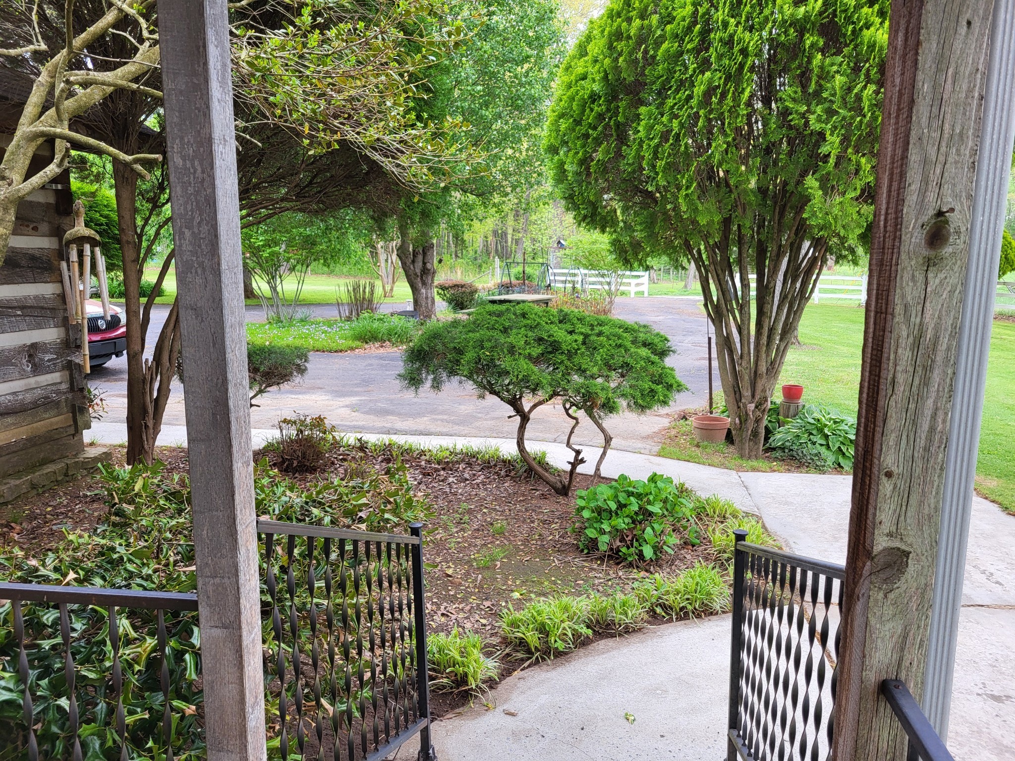 967 Mud Creek Road Morrison, TN 37357 - Photo 6 of 33 a view of a yard with plants and large trees