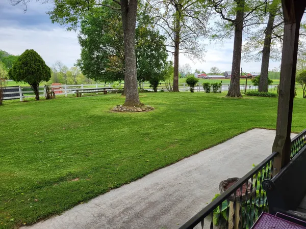 a view of a garden with trees