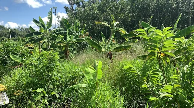 $169,000 | 0 Sinkhole Road, Fort Meade, FL 33841