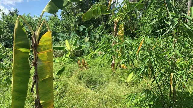 $169,000 | 0 Sinkhole Road, Fort Meade, FL 33841