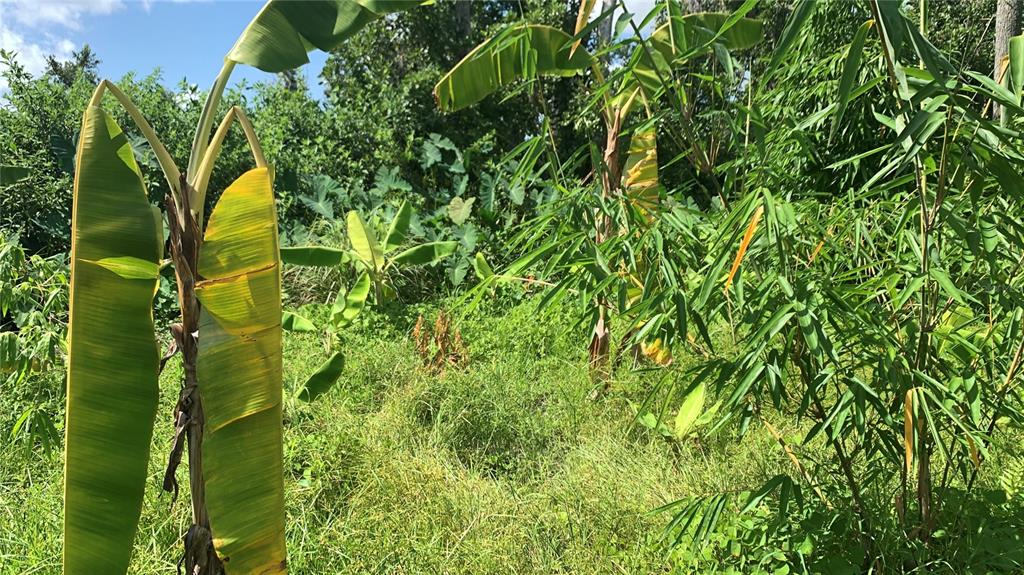 0 Sinkhole Road Fort Meade, FL 33841 - Photo 12 of 28