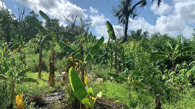 $169,000 | 0 Sinkhole Road, Fort Meade, FL 33841