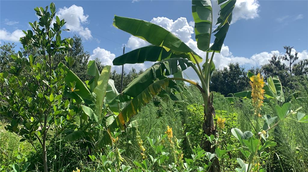 0 Sinkhole Road Fort Meade, FL 33841 - Photo 14 of 28