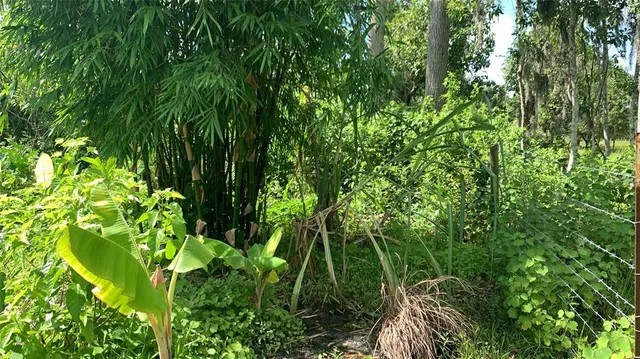 $169,000 | 0 Sinkhole Road, Fort Meade, FL 33841