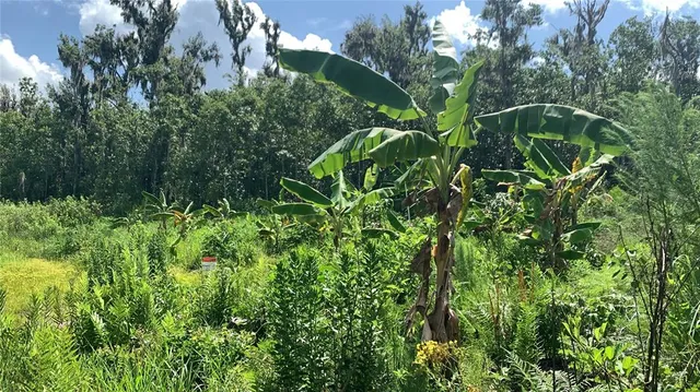 $169,000 | 0 Sinkhole Road, Fort Meade, FL 33841