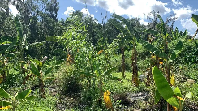 $169,000 | 0 Sinkhole Road, Fort Meade, FL 33841