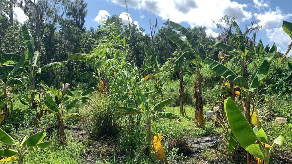 0 Sinkhole Road Fort Meade, FL 33841 - Photo 17 of 28