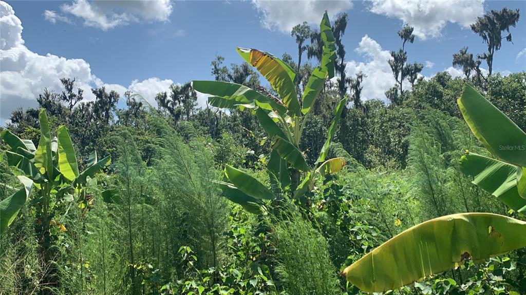 0 Sinkhole Road Fort Meade, FL 33841 - Photo 18 of 28