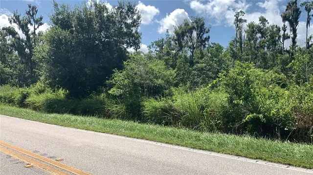 $169,000 | 0 Sinkhole Road, Fort Meade, FL 33841