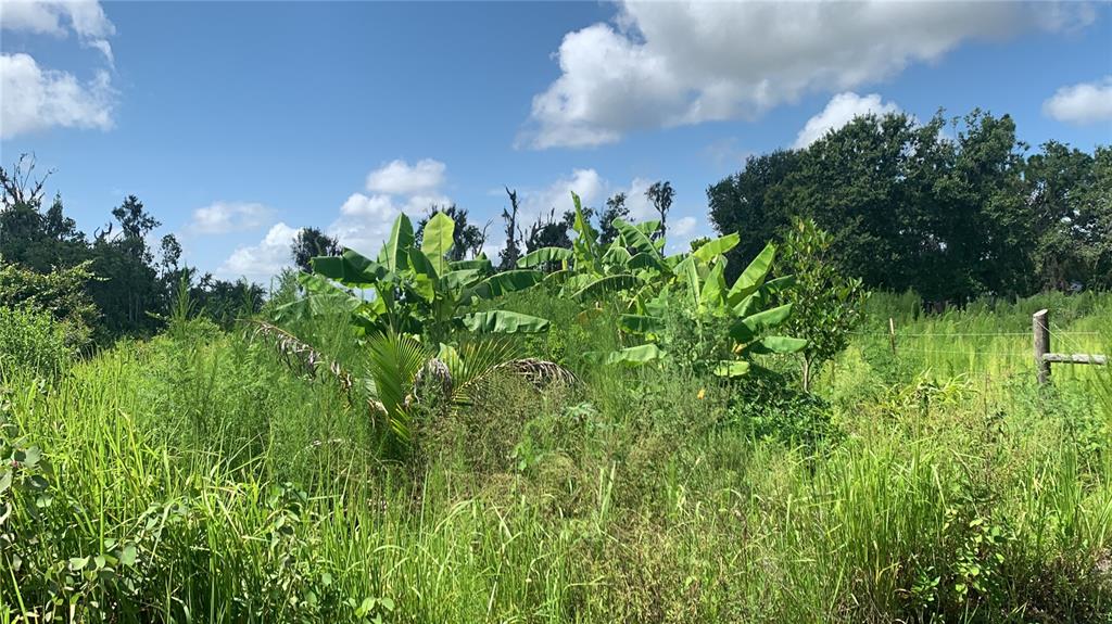 0 Sinkhole Road Fort Meade, FL 33841 - Photo 23 of 28
