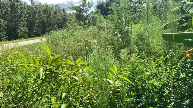 $169,000 | 0 Sinkhole Road, Fort Meade, FL 33841