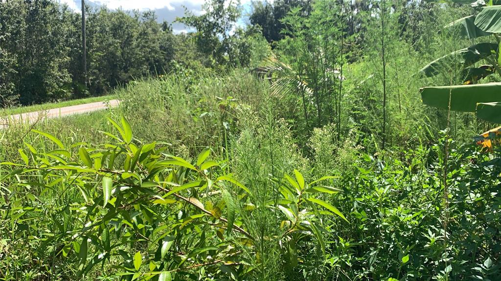 0 Sinkhole Road Fort Meade, FL 33841 - Photo 24 of 28