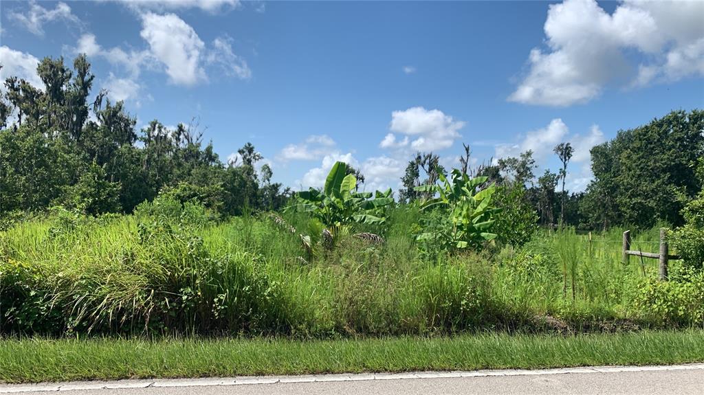 0 Sinkhole Road Fort Meade, FL 33841 - Photo 27 of 28