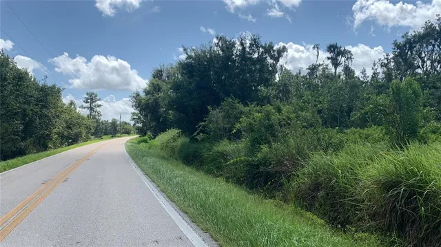 $169,000 | 0 Sinkhole Road, Fort Meade, FL 33841