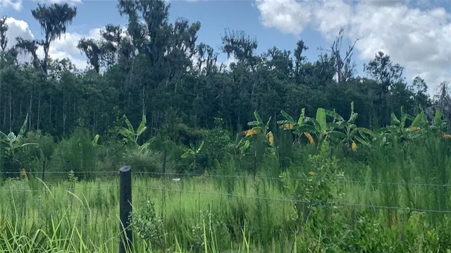 $169,000 | 0 Sinkhole Road, Fort Meade, FL 33841