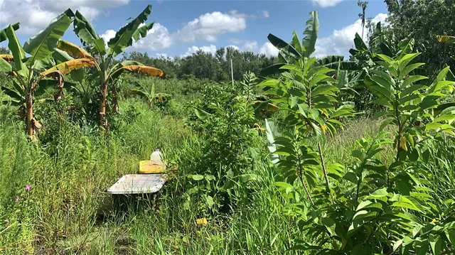 $169,000 | 0 Sinkhole Road, Fort Meade, FL 33841