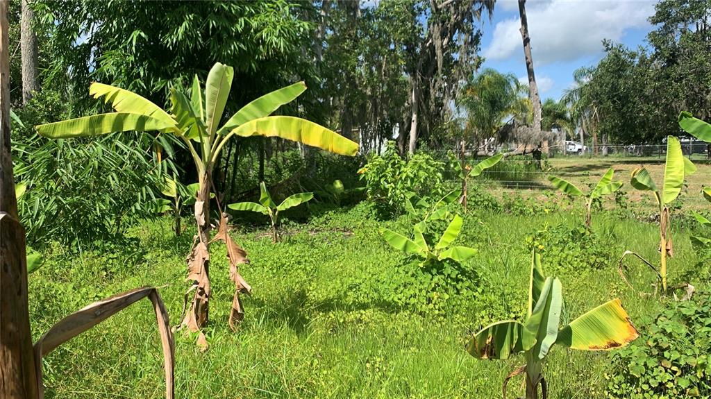 0 Sinkhole Road Fort Meade, FL 33841 - Photo 10 of 28