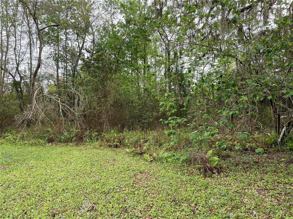 7419 Buck Hope Road Brooksville, FL 34601 - Photo 4 of 7