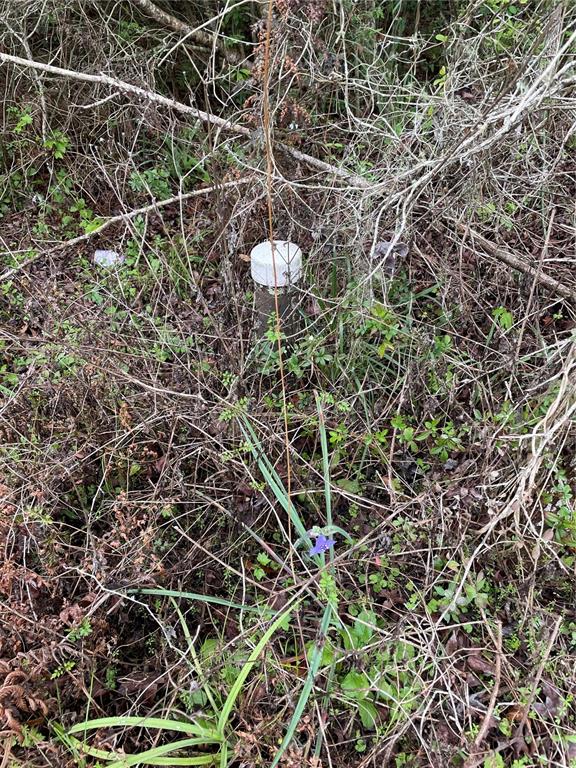 7419 Buck Hope Road Brooksville, FL 34601 - Photo 6 of 7