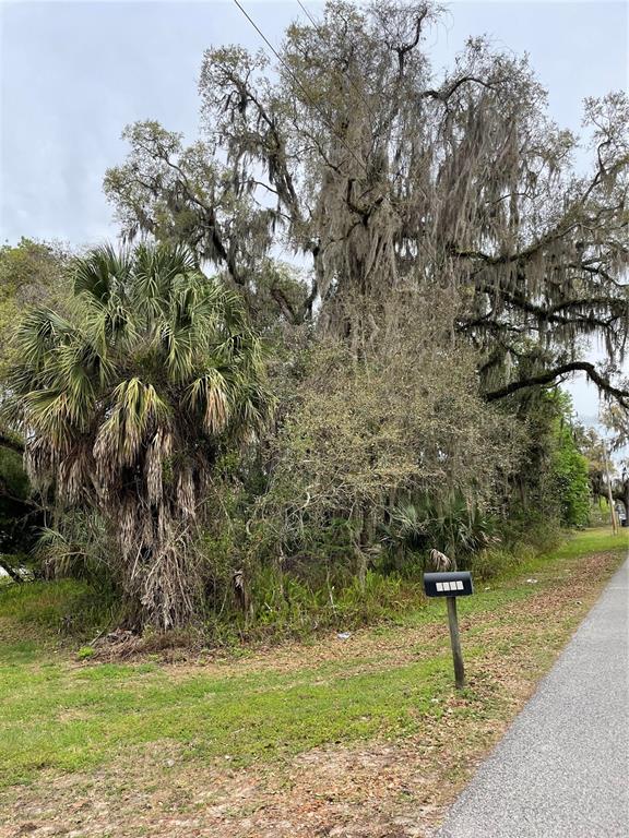 7419 Buck Hope Road Brooksville, FL 34601 - Photo 7 of 7