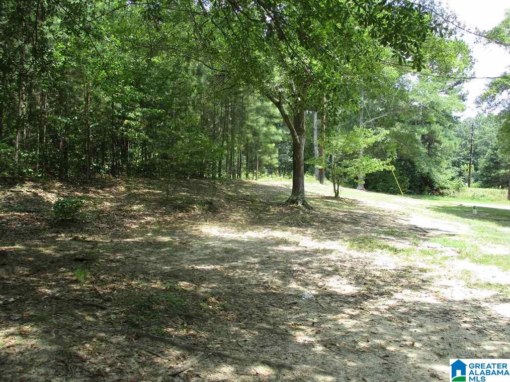 3315 Pine Mountain Road Remlap, AL 35133 - Photo 14 of 20