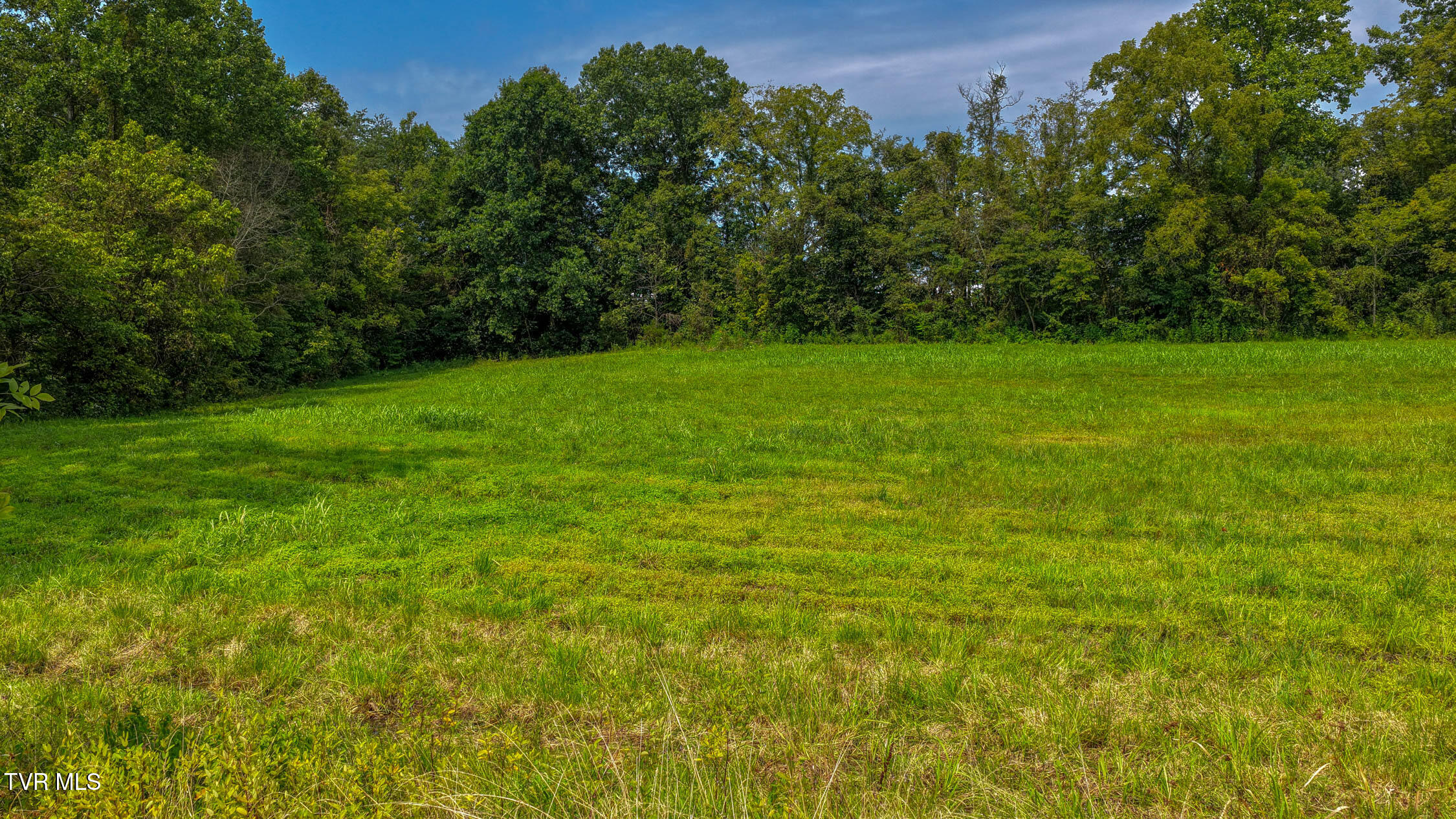244 Summit Hill Road Bulls Gap, TN 37711 - Photo 48 of 91 244 Sumit Hill. BG MLSa (20 of 65)