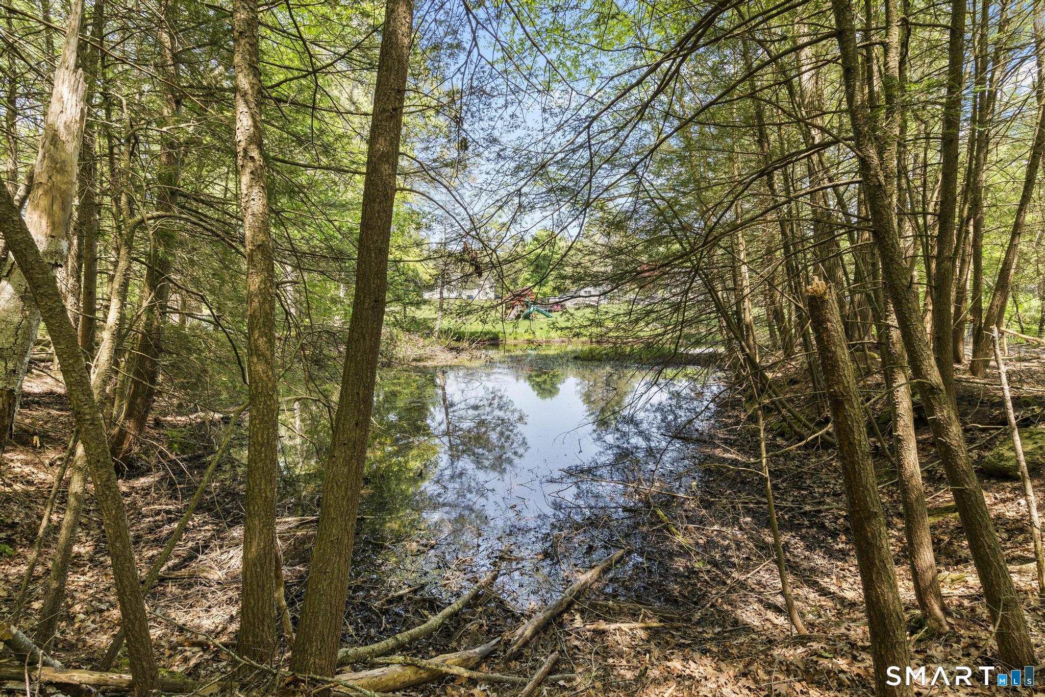 321 Colebrook Road Winchester, CT 06098 - Photo 8 of 39
