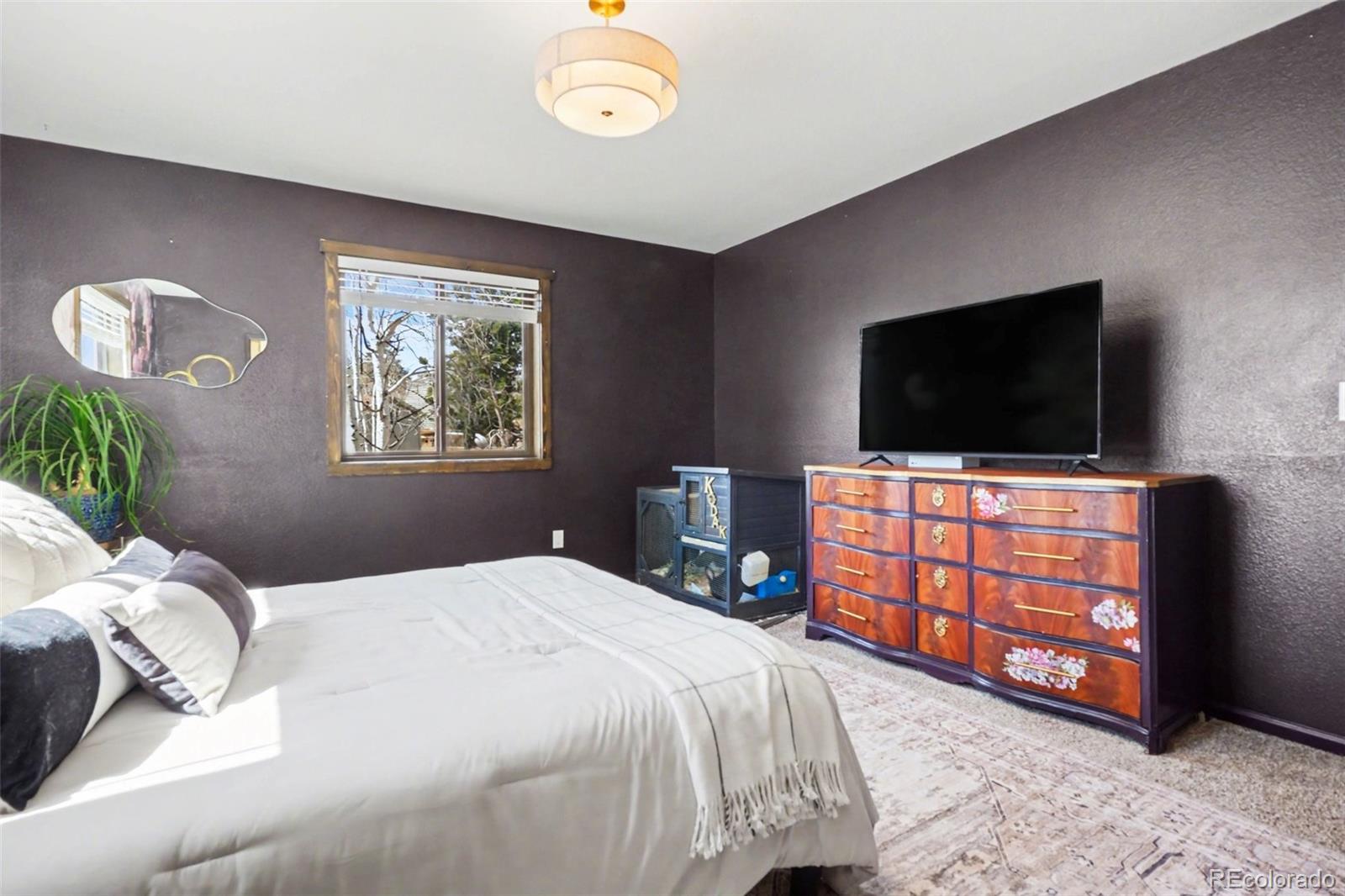 38 Pinon Road Bailey, CO 80421 - Photo 27 of 45