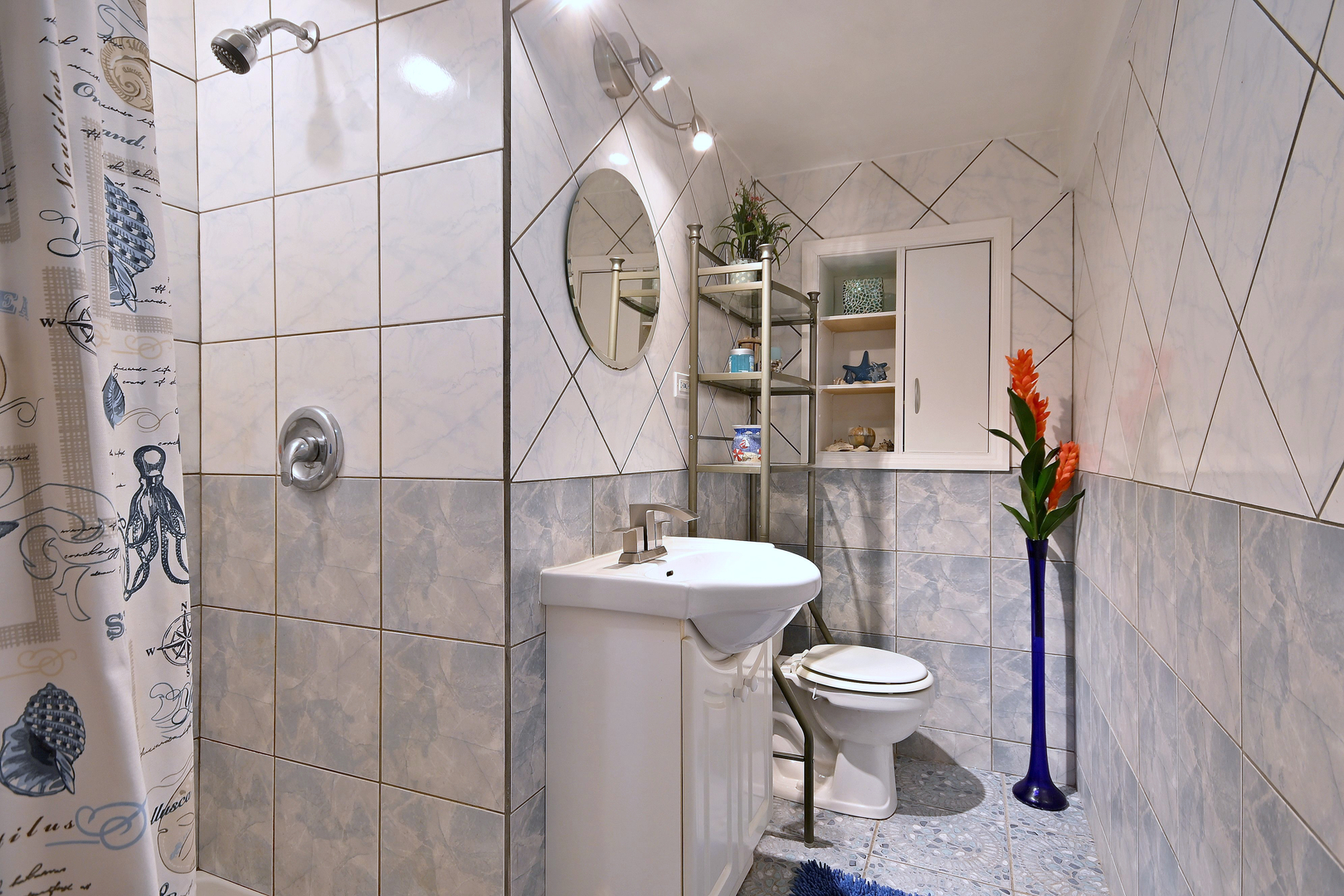 20564 Elizabeth Avenue Prairie View, IL 60089 - Photo 31 of 40 a bathroom with a sink a toilet and a mirror