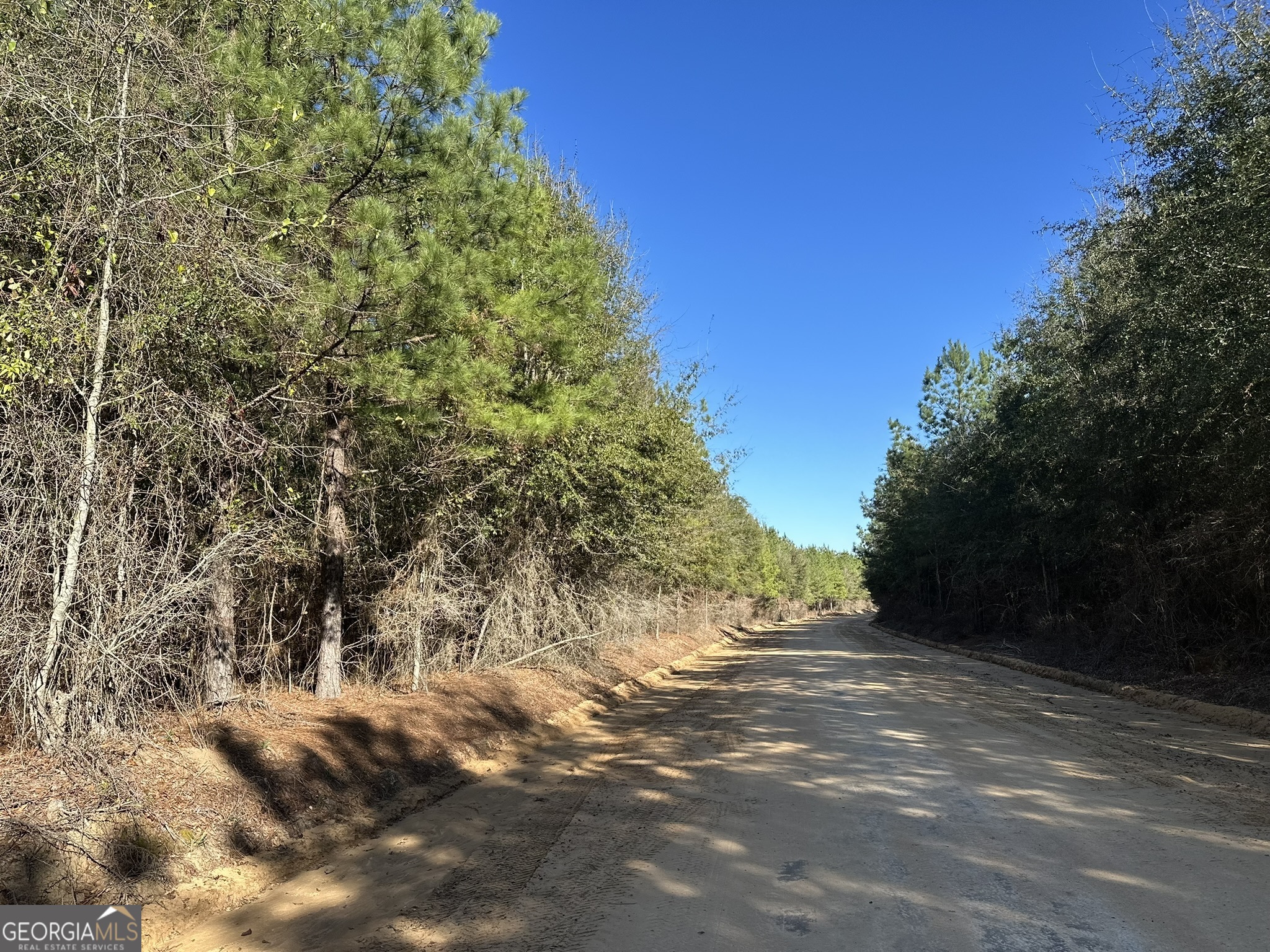 14 Mt Zion Road Gordon, AL 36343 - Photo 3 of 7 a view of a trees