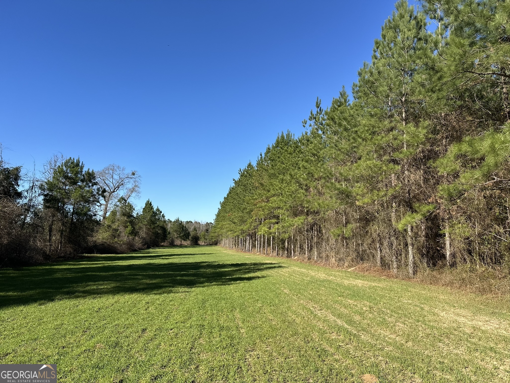 14 Mt Zion Road Gordon, AL 36343 - Photo 4 of 7 a view of a golf course