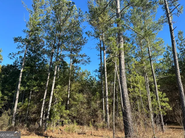 a view of outdoor space with lots of trees