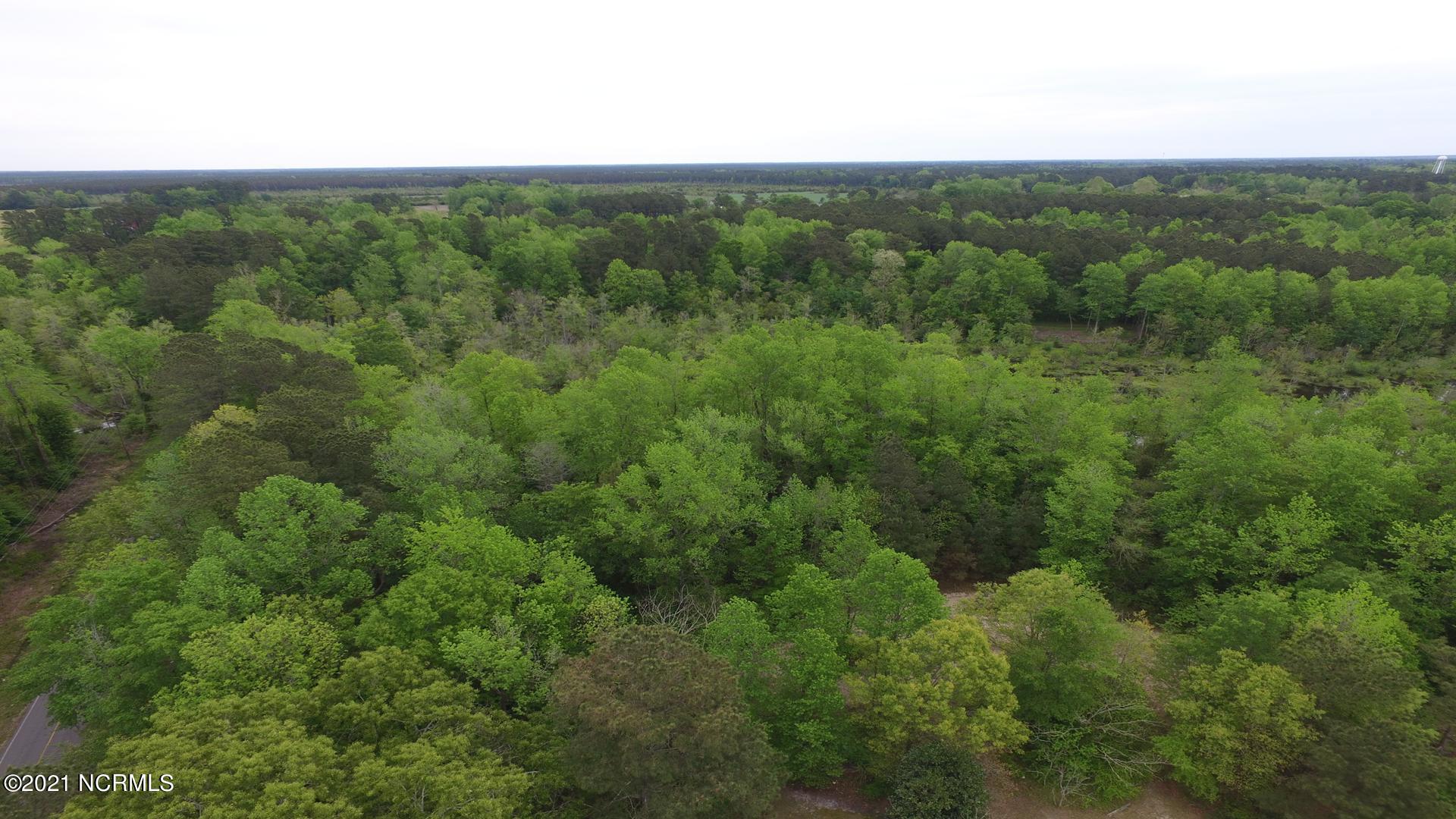 8950 Slocum Trail Atkinson, NC 28421 - Photo 3 of 21 Snapshot - 11