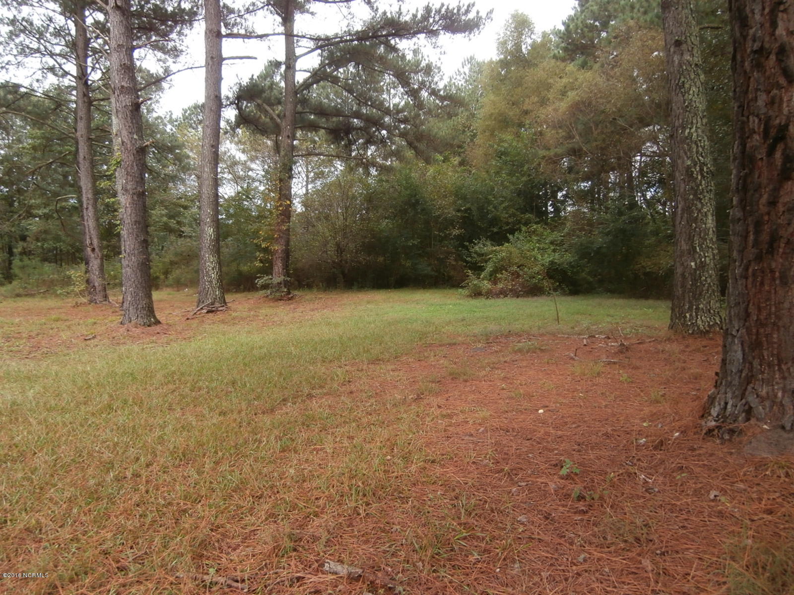 166 Dead End Road Enfield, NC 27823 - Photo 20 of 20 Backyard view