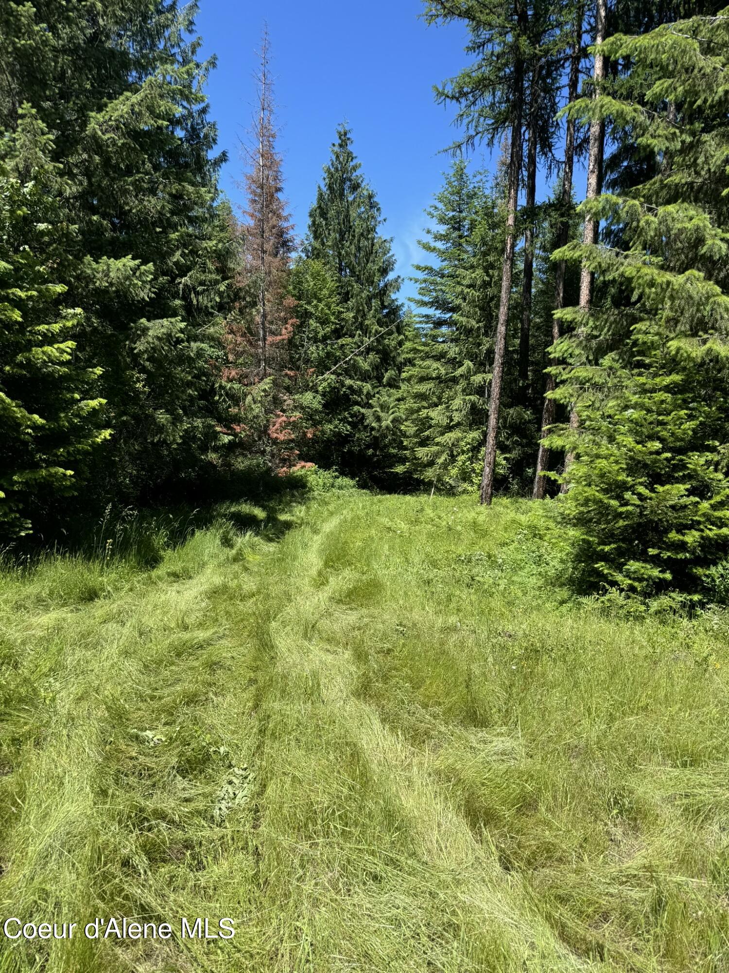 7362 South Dick's Creek Road Kendrick, ID 83537 - Photo 15 of 47 15