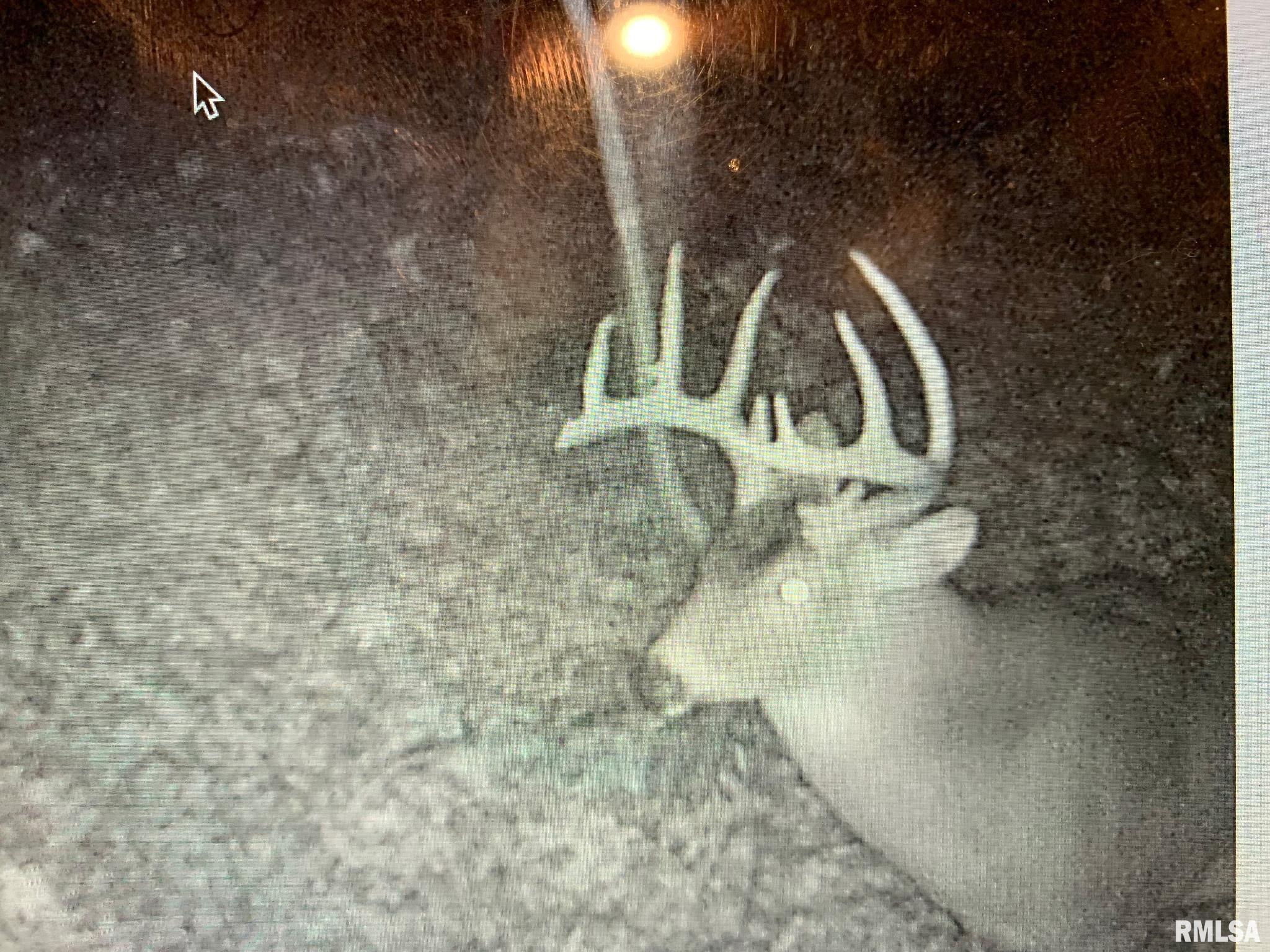 19168 County Line Road Jonesboro, IL 62952 - Photo 11 of 53