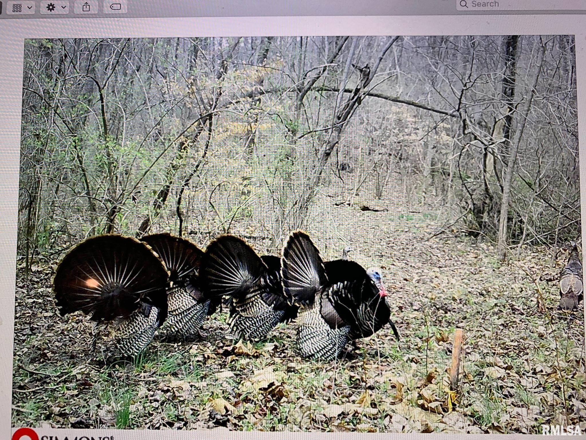 19168 County Line Road Jonesboro, IL 62952 - Photo 14 of 53